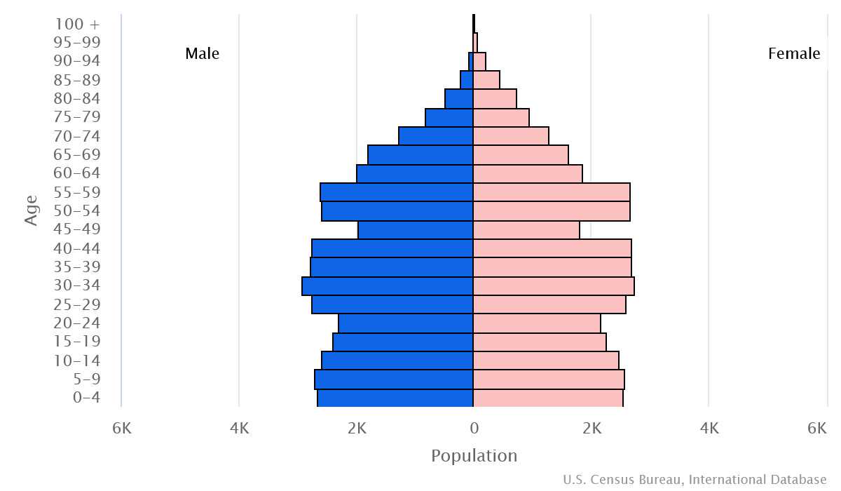 2023 population pyramid