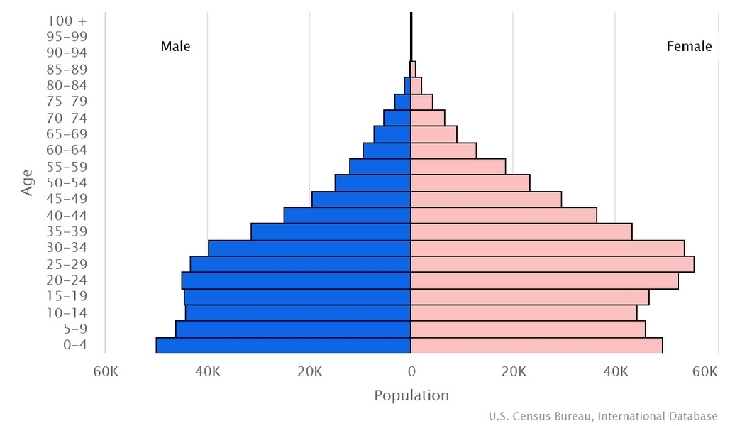 2023 population pyramid