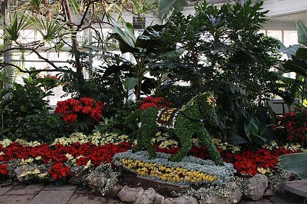 Inside one of the six conservatories at Allan Gardens, a park and indoor botanical garden in Toronto, Canada. Opened in 1860, Allan Gardens is one of the oldest parks in Toronto and is named after a former mayor and senator who donated the land to the city.