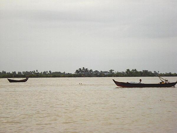 The Irrawaddy Delta is a lowlying region in southern Burma that plays a dominant role in the fishing and rice cultivation industry.