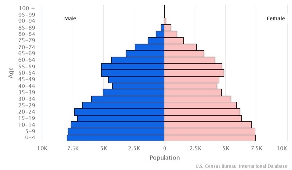 2022 population pyramid