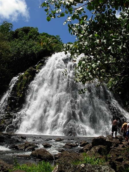 Keprohi (Kepirohi) Waterfall on the island of Pohnpei. Fresh-water eels frequent the pool at the bottom of the falls. Photo courtesy of NOAA / Lt. Cmdr. Matthew Wingate.