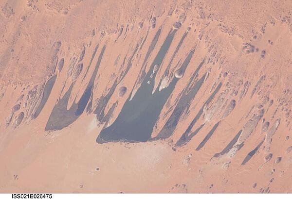 The Ounianga Lakes in northeastern Chad are featured in this image from the International Space Station. This view features one of the largest of a series of ten mostly freshwater lakes in the Ounianga basin in the heart of the Sahara Desert. The area shown in this image measures approximately 11 x 9 km (6.8 x 5.6 mi), with the dark water surfaces of the lake segregated almost completely by orange linear sand dunes that stream into the depression from the northeast. Image courtesy of NASA/Jeffrey Williams.