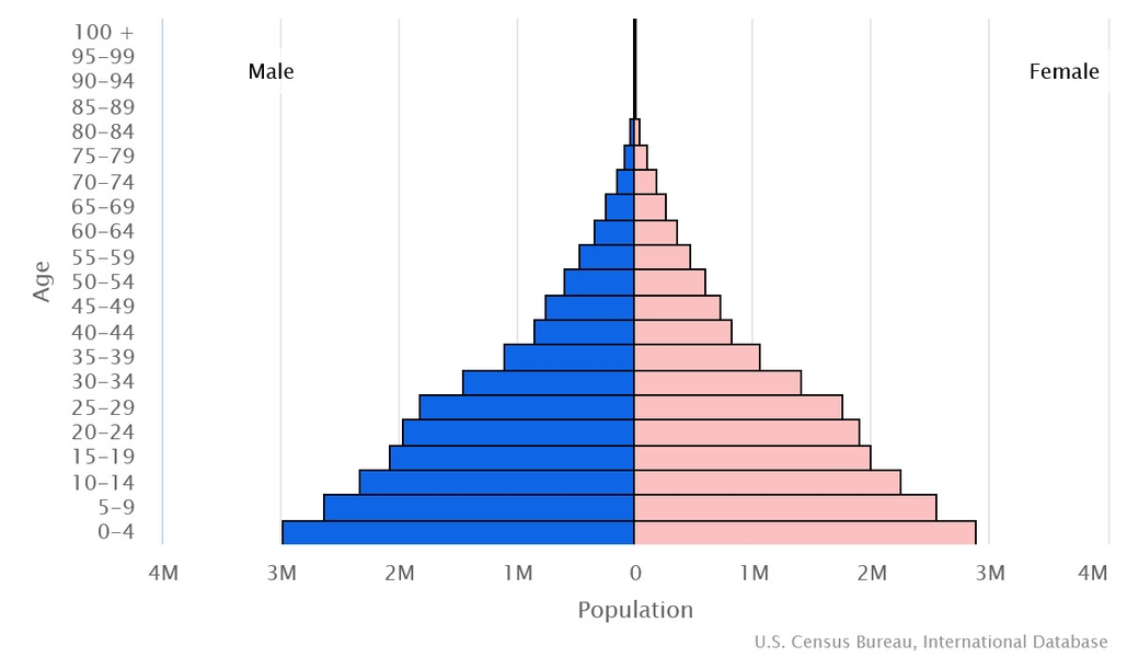 2023 population pyramid