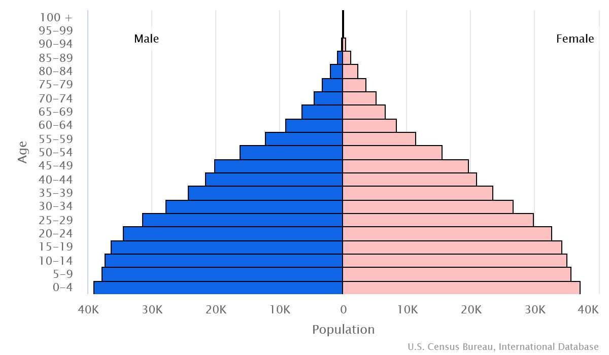 2023 population pyramid