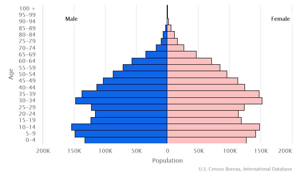 2023 population pyramid