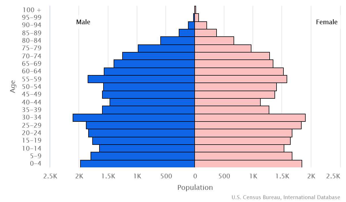 2023 population pyramid