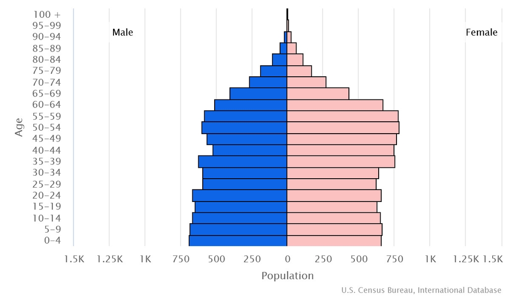 2023 population pyramid