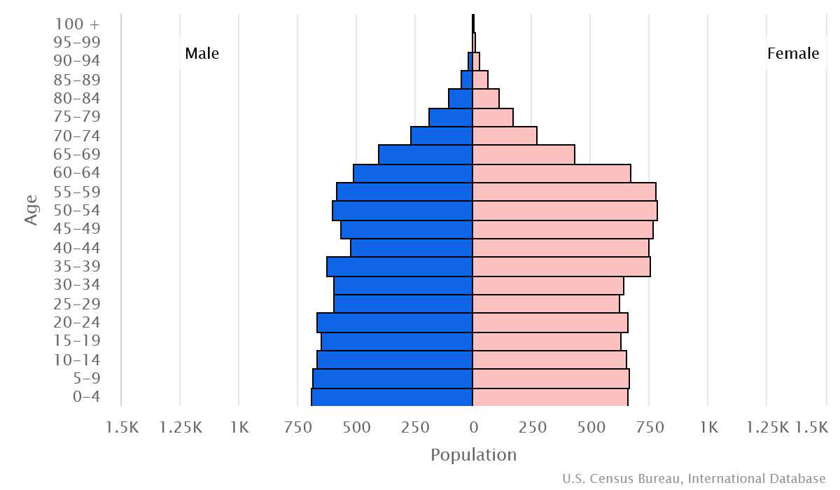 2023 population pyramid