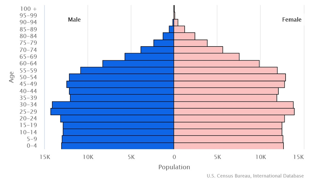 2023 population pyramid