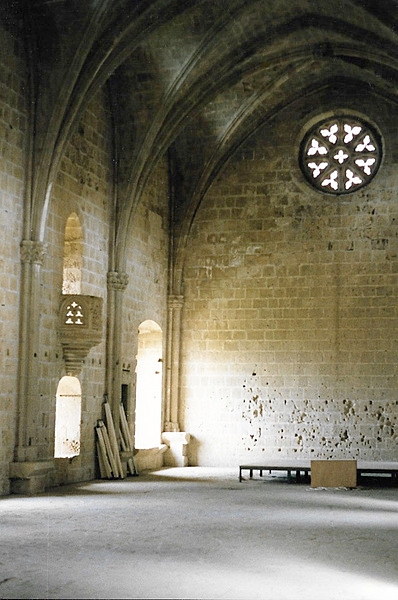 Although part of the Bellapais Abbey in Cyprus is in ruins, portions remain in use for religious services, concerts, and as a romantic setting for weddings. Shown here is the still-very-much-intact refectory.