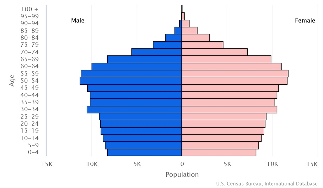 2023 population pyramid