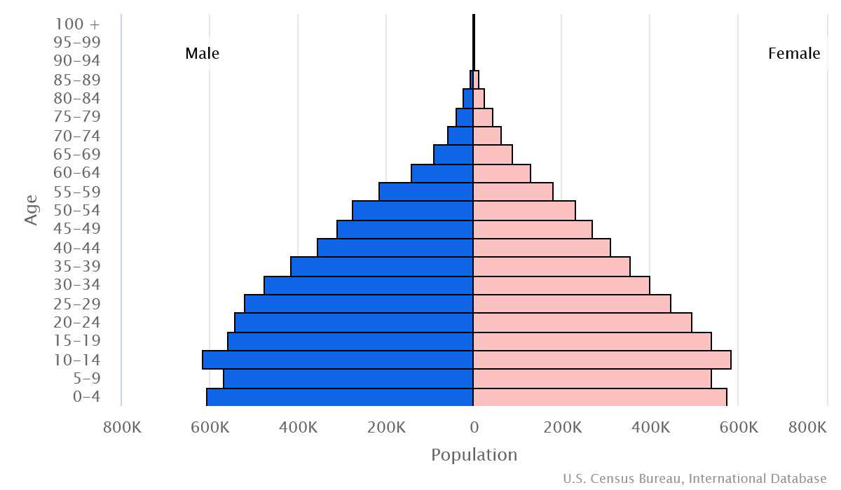 2023 population pyramid