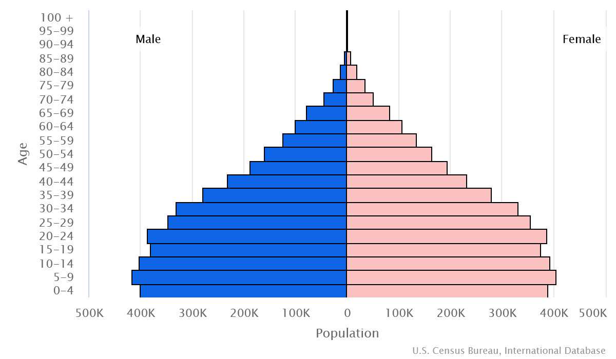 2023 population pyramid