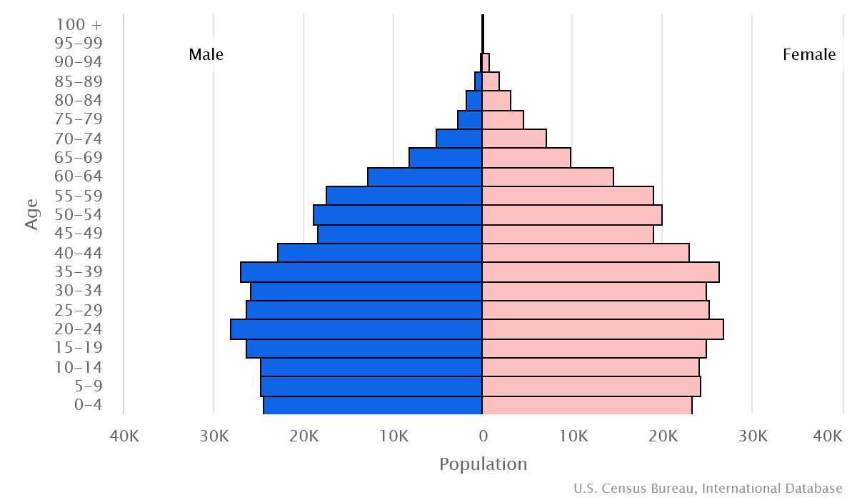 2023 population pyramid