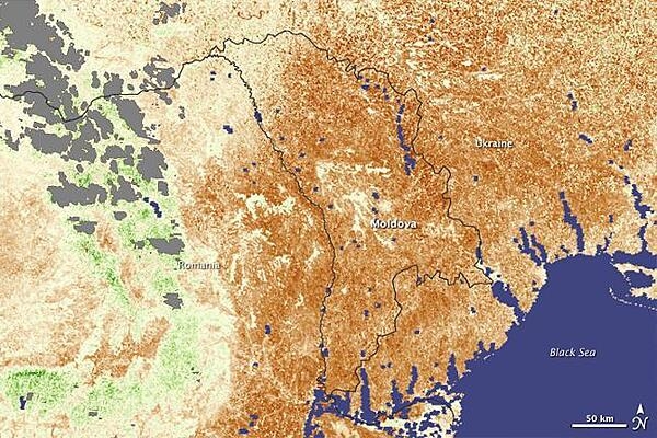 The impact of a 2007 drought on plants in Moldova and parts of Ukraine and Romania is illustrated by a pair of images (this and the next). The photos are vegetation anomaly images that indicate how quickly plants were taking in light and growing. Areas that are green are regions where plants were larger and leafier (leading to more photosynthesis) than they were on average from 2000 through 2006. Brown areas show where plants were smaller or less leafy than average, in this case as a result of drought. Gray areas indicate where clouds blocked the ground from view throughout the observation period, and blue is water. The above satellite image is a compilation of daily data collected between 28 July 28 and 12 August 2007, when the impact of the drought was at its greatest. Summer crops, such as corn and sunflowers, were in a critical stage of development, during which water was essential. The deep brown tone that covers all of Moldova reveals that the hot, dry weather devastated plants. The following image, from 29 August through 13 September, reveals just how much conditions can change in a single month. Some of what had been brown is brushed with green where plants responded to rainfall. Helpful though the precipitation evidently was to those plants that were still growing, it arrived too late to improve crop conditions in general. Photos courtesy of NASA.