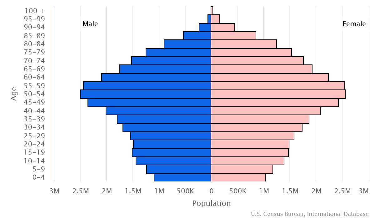 2023 population pyramid