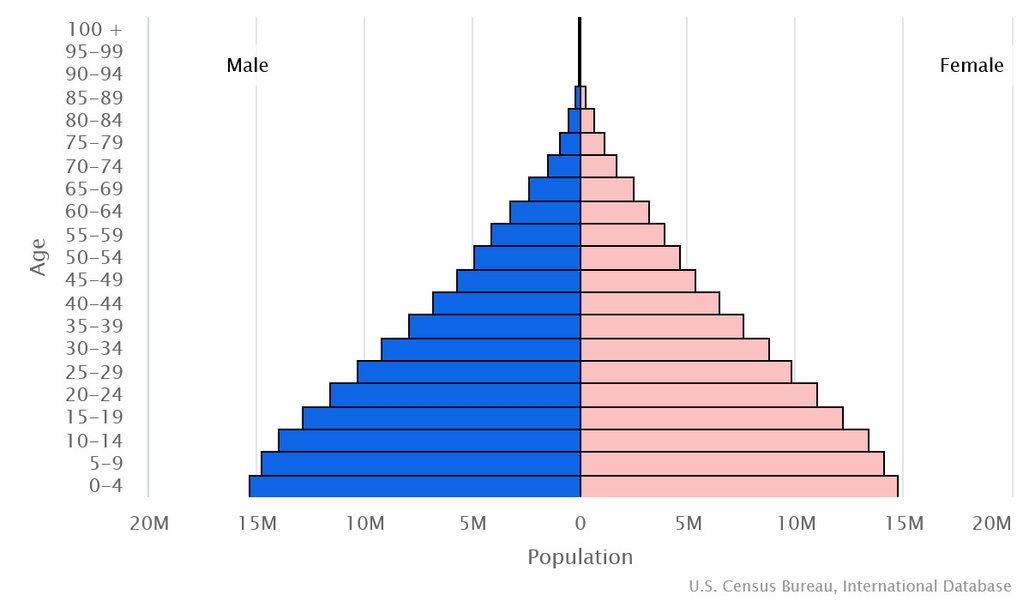 2023 population pyramid