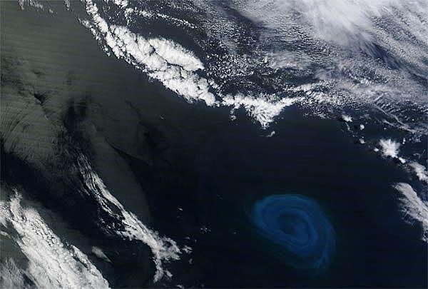 The blue-colored swirl at the bottom right of this satellite image is an ocean eddy -- a huge mass of water spinning in a whirlpool pattern. Eddies often spin off from major ocean-current systems. The blue tint is a result of microscopic plant-like organisms called plankton, which grow as a result of the eddy stirring up nutrients from the deep to the surface. This image is from 26 December 2011 around 800 km (500 mi) south of South Africa. Image courtesy of NASA.