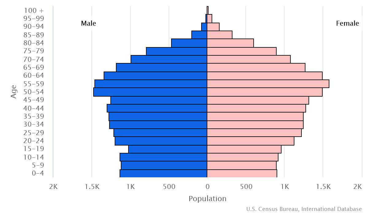 2023 population pyramid