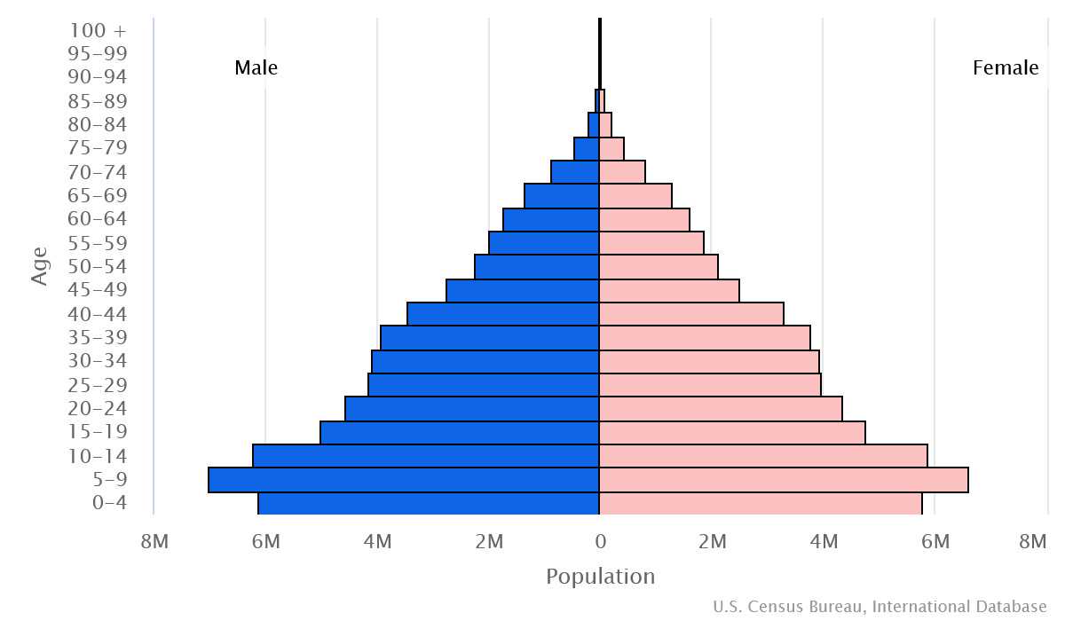 2023 population pyramid