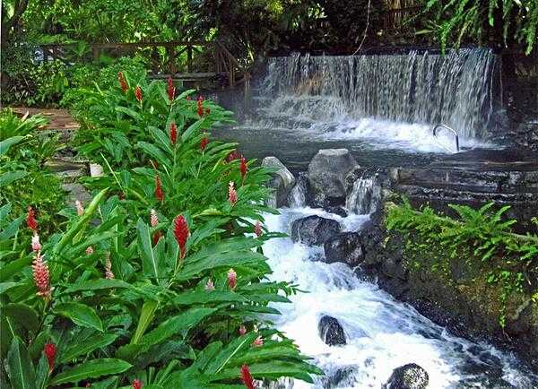 Costa Rica's Tabacon Hot Springs flow through the jungle and are naturally heated by the nearby Arenal Volcano.