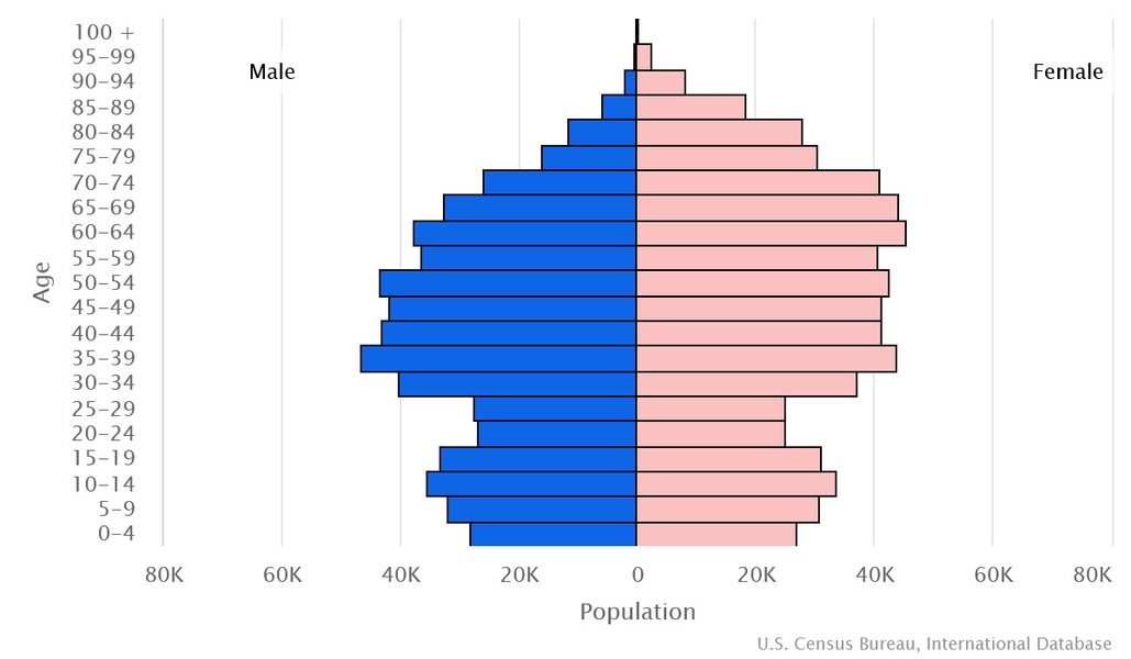 2023 population pyramid