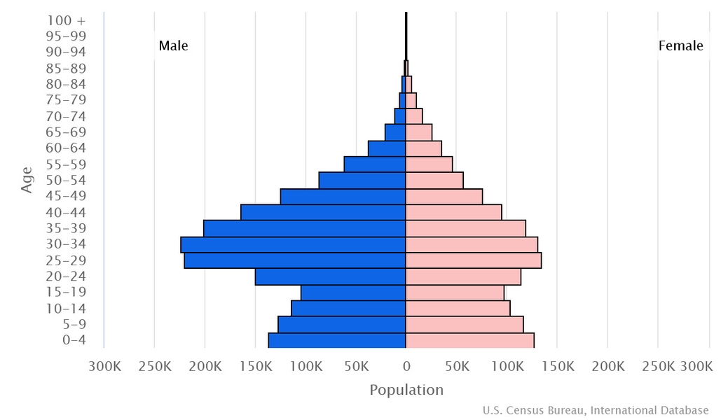 2023 population pyramid