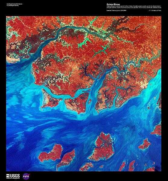 A false-color satellite image of the Guinea-Bissau coastline shows numerous offshore islands, part of the Bissagos Islands. Plains and Guinean mangroves dominate the coastline of Guinea-Bissau. In the shallow waters, silt -- carried into the Atlantic Ocean by the Geba and other rivers -- is deposited in complex patterns. Image courtesy of USGS.