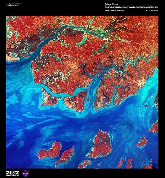 A false-color satellite image of the Guinea-Bissau coastline shows numerous offshore islands, part of the Bissagos Islands. Plains and Guinean mangroves dominate the coastline of Guinea-Bissau. In the shallow waters, silt -- carried into the Atlantic Ocean by the Geba and other rivers -- is deposited in complex patterns. Image courtesy of USGS.