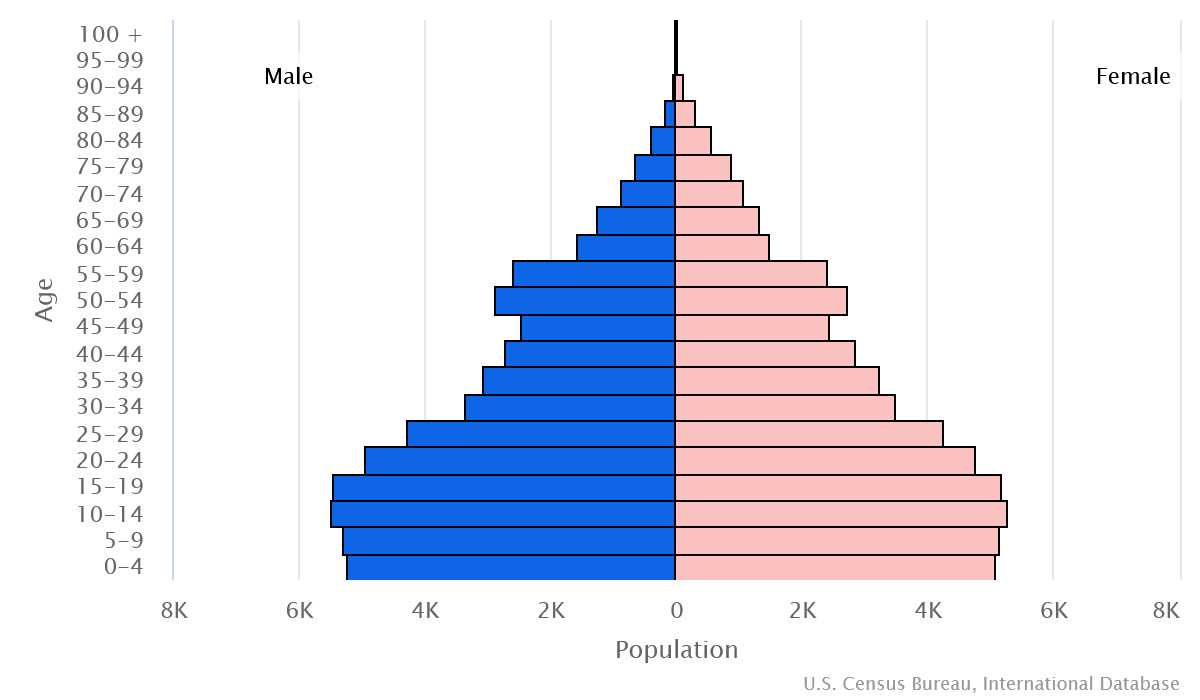 2023 population pyramid