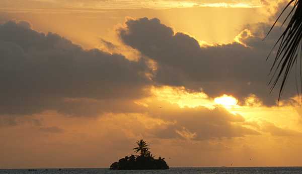 A golden sunset backdrop to an islet at Palmyra Atoll National Wildlife Refuge. Image courtesy USFWS.