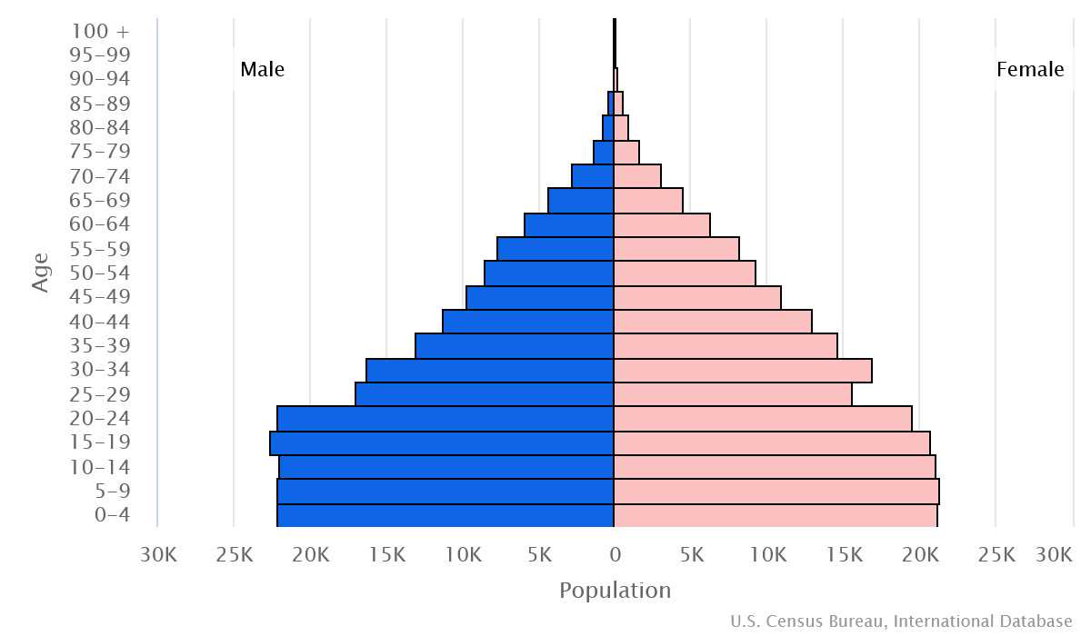 2023 population pyramid