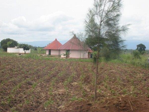 A small compound usually consisting of an extended family clan: the patriarch and his children and their spouses. The families each have their own houses, but they cooperatively farm the surrounding land. These are nicer homes with painted metal roofs.