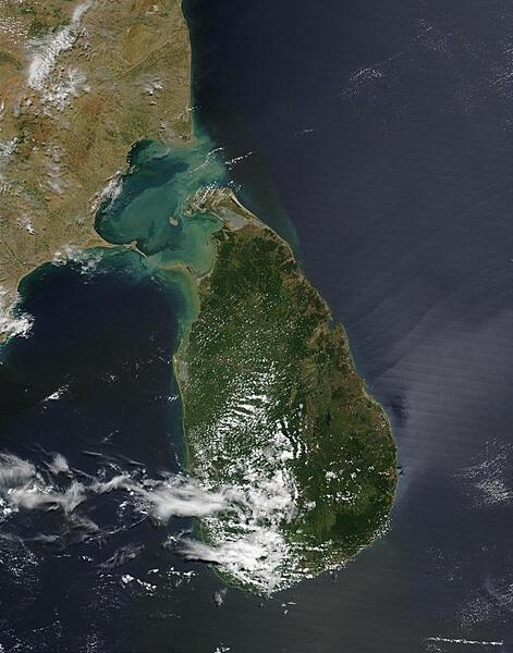 The Palk Strait separates India (upper left) from Sri Lanka (center). This image shows the Strait filled with bright sediment, while off the northeast tip of Sri Lanka, a darkening in the waters could be a phytoplankton bloom. On Sri Lanka, many of the native forests have been cleared, but small pockets remain in preserves, such as that seen in the dark green southeastern portion of the island. The imaging satellite also detected a number of fires that are indicated in red. Image courtesy of NASA.