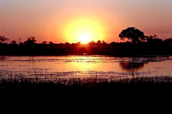 Fiery sunset on Botswana's Okavango Delta (also called the Okavango Swamp), the world's largest inland delta. The Okavango River empties as a swamp in a basin of the Kalahari Desert where, through the processes of evaporation and transpiration, it disappears.