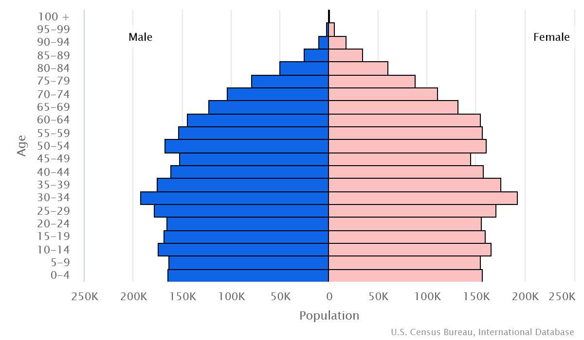 2023 population pyramid