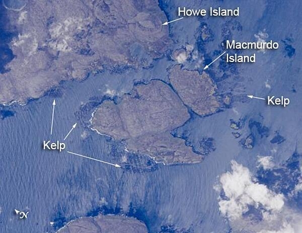 MacMurdo and Howe Islands are two of the 300 islands of the remote Kerguelen Archipelago, located in the southern Indian Ocean. The coastlines of many of these islands host giant kelp beds. The surface wave pattern that travels southeastward along the gray-blue ocean surface and through the kelp beds is visible due to sunglint, the mirror-like reflection of sunlight off the water. Image courtesy of NASA.