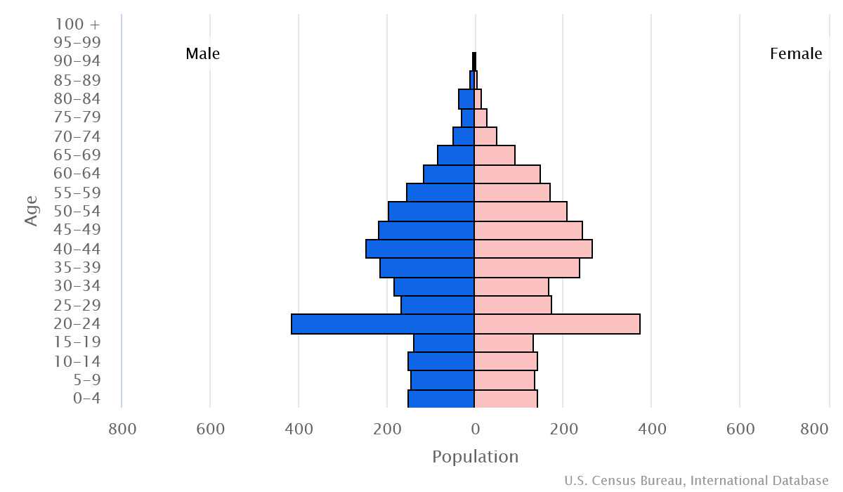 2023 population pyramid