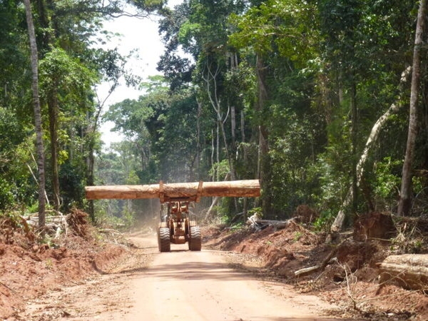 The majority of new roads in the Republic of the Congo are built for logging, which is one of the main economic activities in the rainforest. Photo courtesy of NASA / Fritz Kleinschroth.