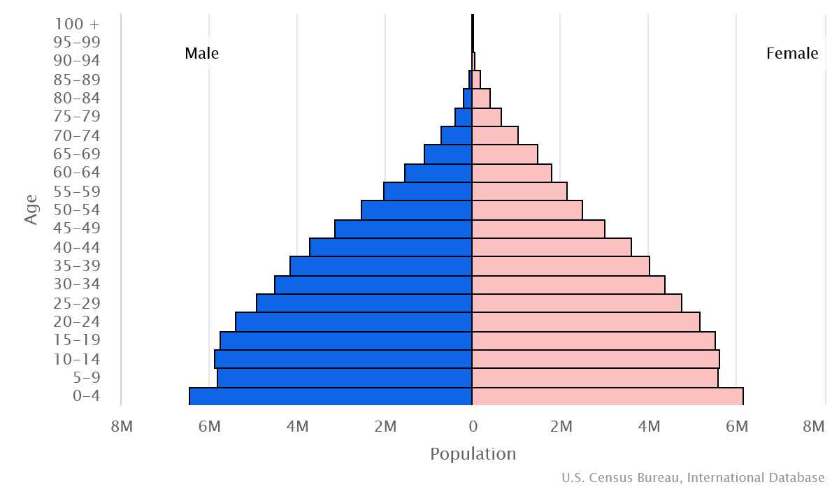 2023 population pyramid