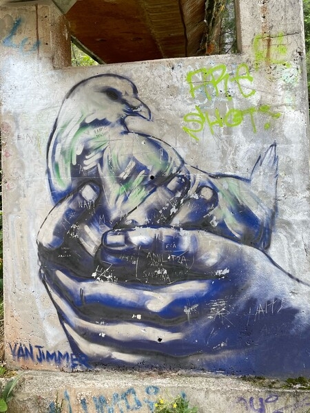 An example of graffiti on the bobsled track on Trebevic Mountain outside Sarajevo, Bosnia-Herzegovina.