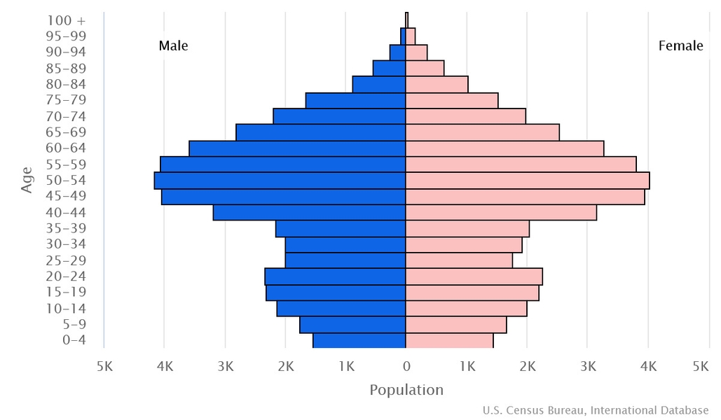 2023 population pyramid