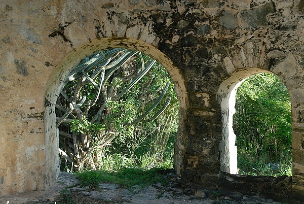 Arches at the Peace Hill sugar mill ruin. The plantation that stood here was actually called Denis Bay. Established in 1718, it was one of only five plantations on St. John that employed wind power for the production of sugar cane. Photo courtesy of the US National Park Service/Susanna Pershern.