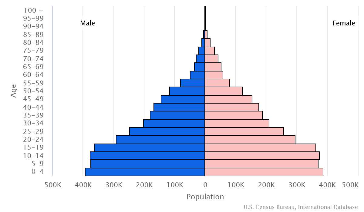 2023 population pyramid