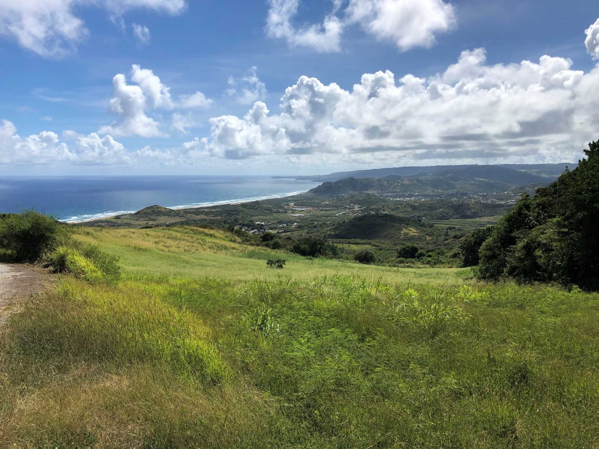 The eastern coast of Barbados faces the open ocean. The mostly rural region takes advantage of the environment to grow many of the Bajan crops.