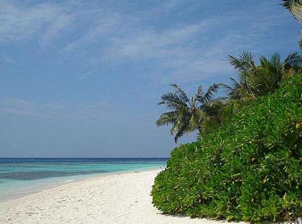 An inviting beach at a resort near Male.