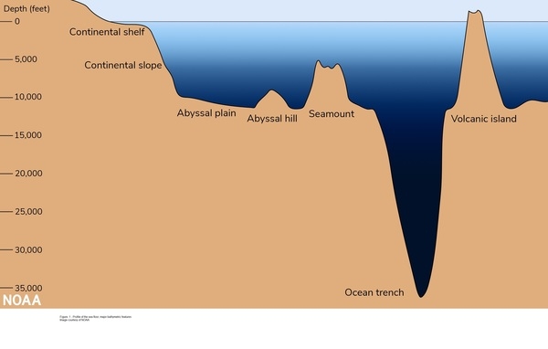 Pacific Ocean  Depth, Temperature, Animals, Location, Map