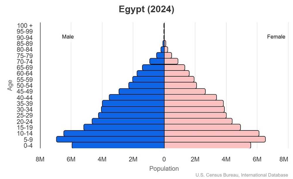 This is the population pyramid for Egypt. A population pyramid illustrates the age and sex structure of a country's population and may provide insights about political and social stability, as well as economic development. The population is distributed along the horizontal axis, with males shown on the left and females on the right. The male and female populations are broken down into 5-year age groups represented as horizontal bars along the vertical axis, with the youngest age groups at the bottom and the oldest at the top. The shape of the population pyramid gradually evolves over time based on fertility, mortality, and international migration trends. <br/><br/>For additional information, please see the entry for Population pyramid on the Definitions and Notes page.