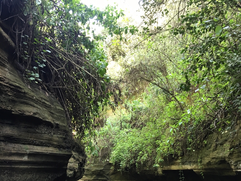 Hell's Gate National Park, in the Great Rift Valley, is one of the smallest national parks in Kenya.  The steep sides of the gorge were formed from water-eroded sandstone.